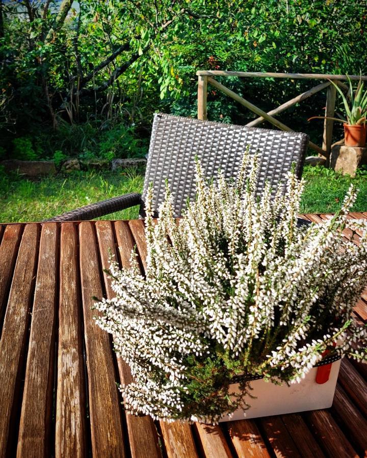 Apartamento Casa Santa Giulia Monteriggioni Exterior foto